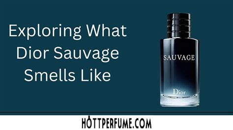 different dior sauvage|what does sauvage smell like.